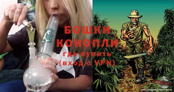 ешки Вязьма