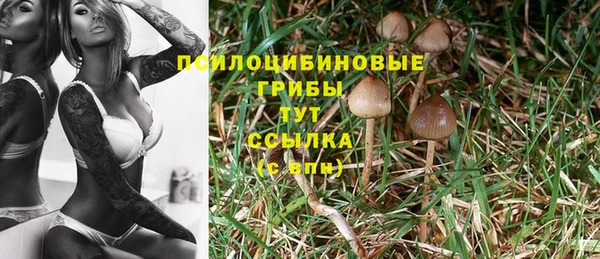 круглые Михайлов